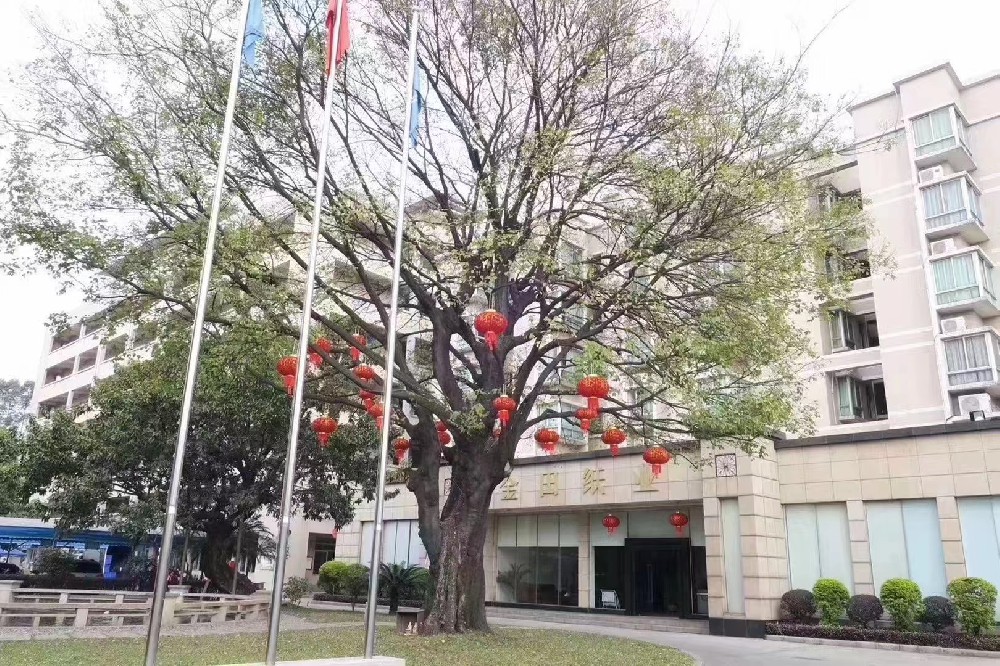 1676618426781004.jpg 1676618426781004.jpg